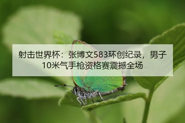 she-ji-shi-jie-bei-zhang-bo-wen-huan-chuang-ji-lu-nan-zi-mi-qi-shou-qiang-zi-ge-sai-zhen-han-quan-chang-2-115.jpg