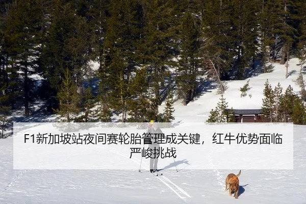 xin-jia-po-zhan-ye-jian-sai-lun-tai-guan-li-cheng-guan-jian-hong-niu-you-shi-mian-lin-yan-jun-tiao-zhan-2-139.jpg