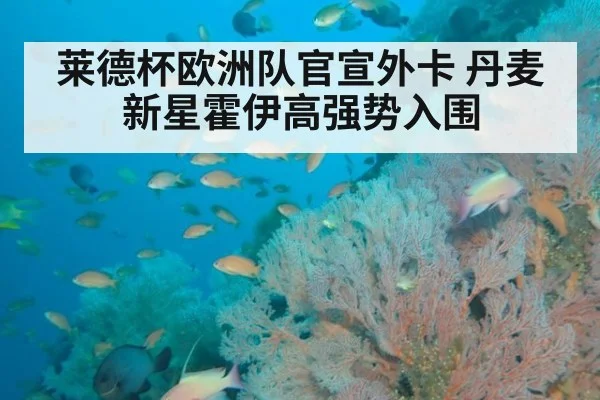 莱德杯欧洲队官宣外卡 丹麦新星霍伊高强势入围