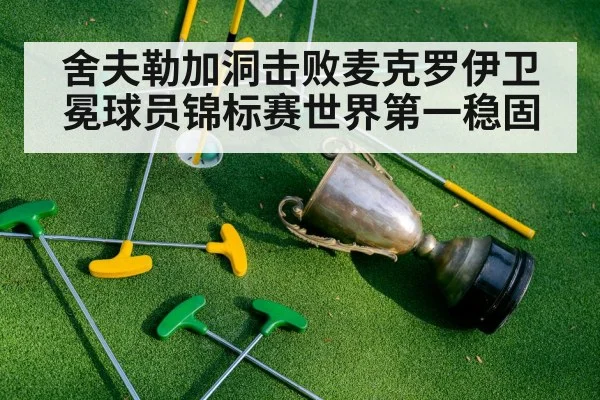 舍夫勒加洞击败麦克罗伊卫冕球员锦标赛世界第一稳固